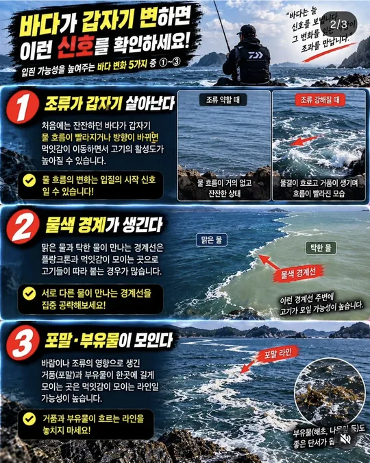 바다가 변할 때 볼 신호 1~3 카드뉴스 그림
