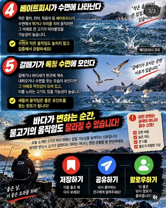 바다가 변할 때 볼 신호 4~5 카드뉴스 그림