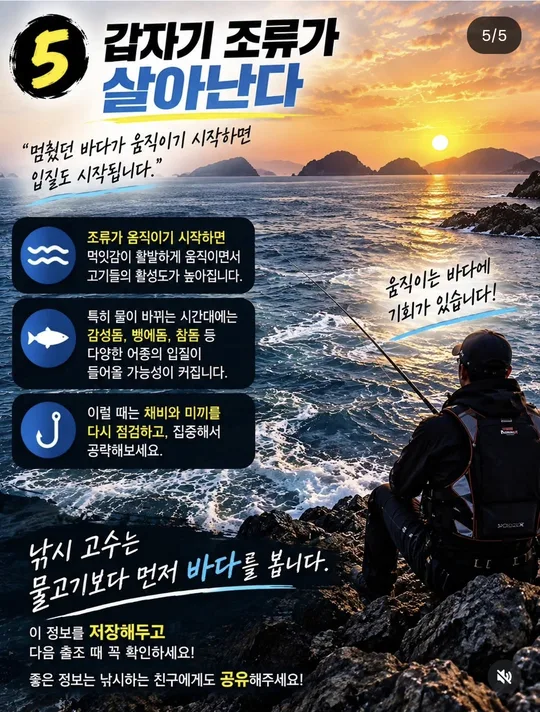 갑자기 조류가 살아날 때 카드뉴스 그림