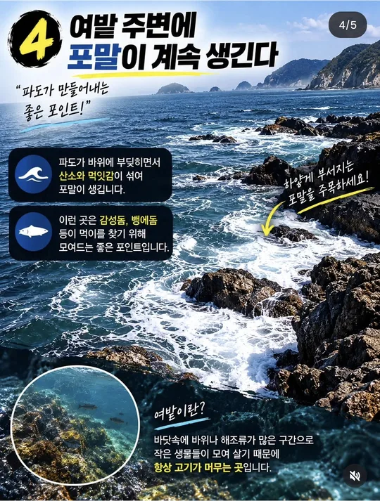 여밭 주변의 포말 카드뉴스 그림
