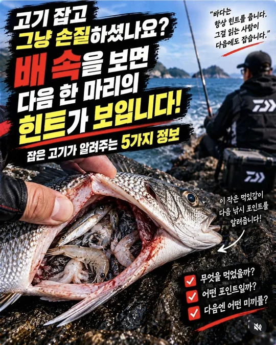 잡은 고기 배 속이 알려 주는 것 카드뉴스 그림