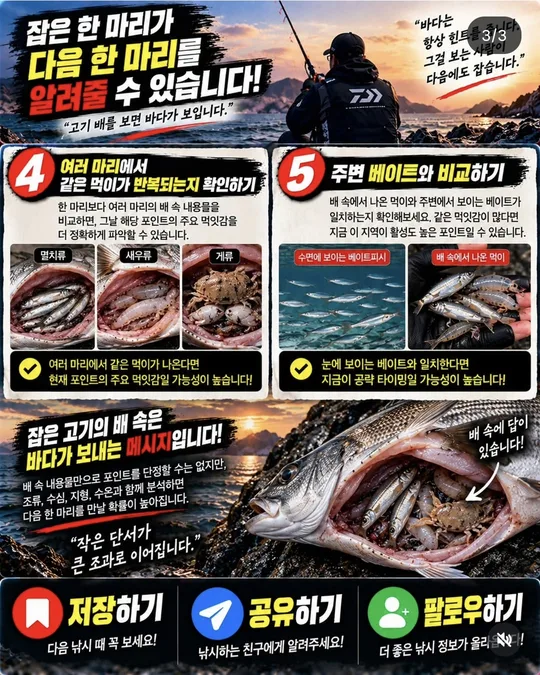 배 속으로 다음 한 마리를 찾는 법 카드뉴스 그림