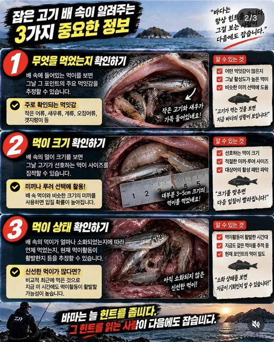 배 속에서 확인할 3가지 카드뉴스 그림