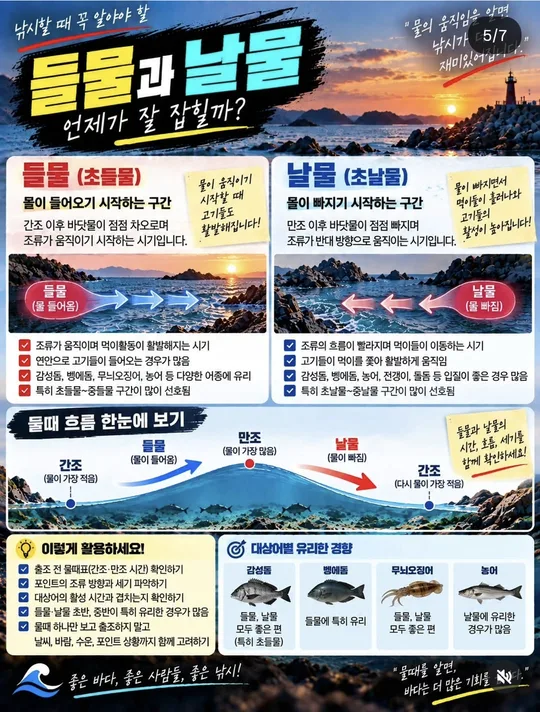 들물과 날물, 언제 잘 잡힐까 카드뉴스 그림